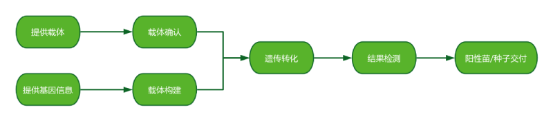 服务内容-大豆